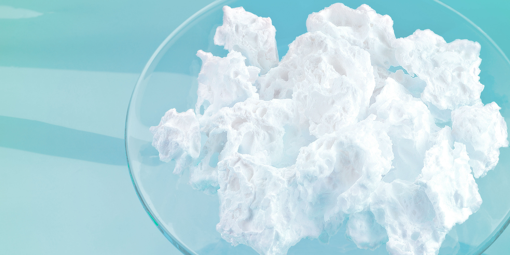 OLIGOMER