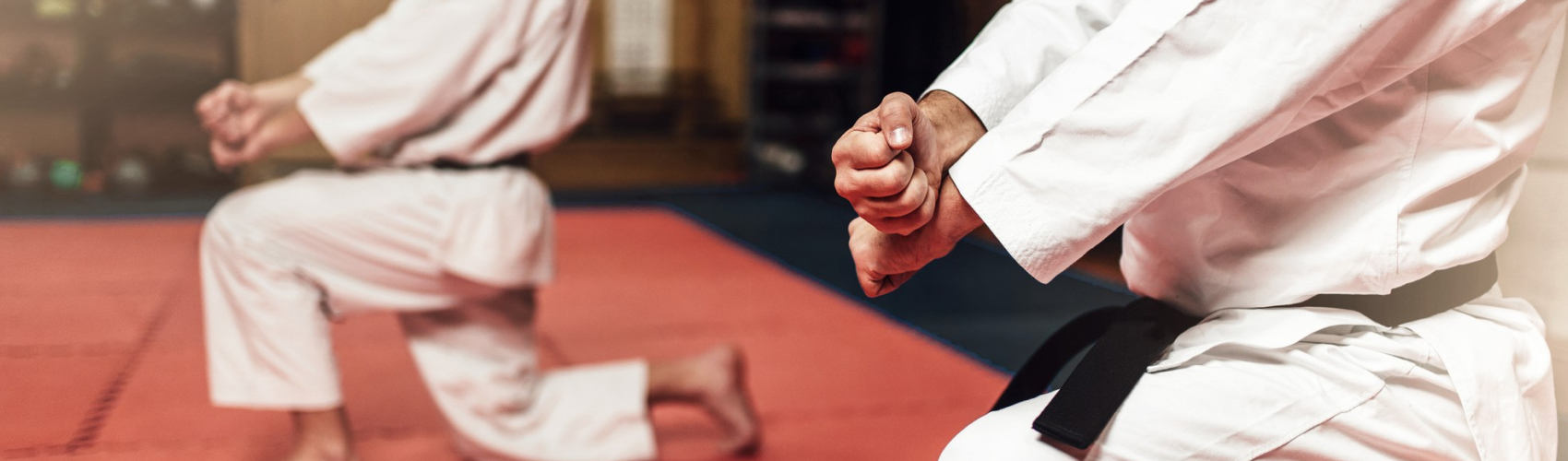 Боевые искусства.jpg