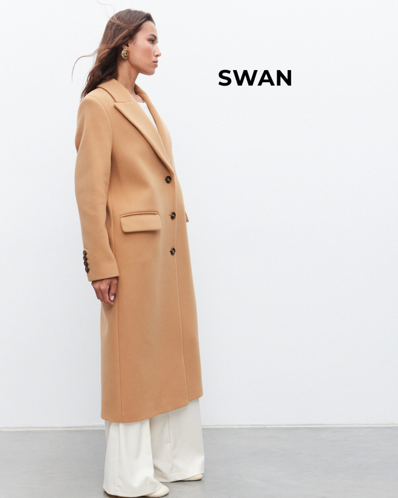 SWAN.jpg